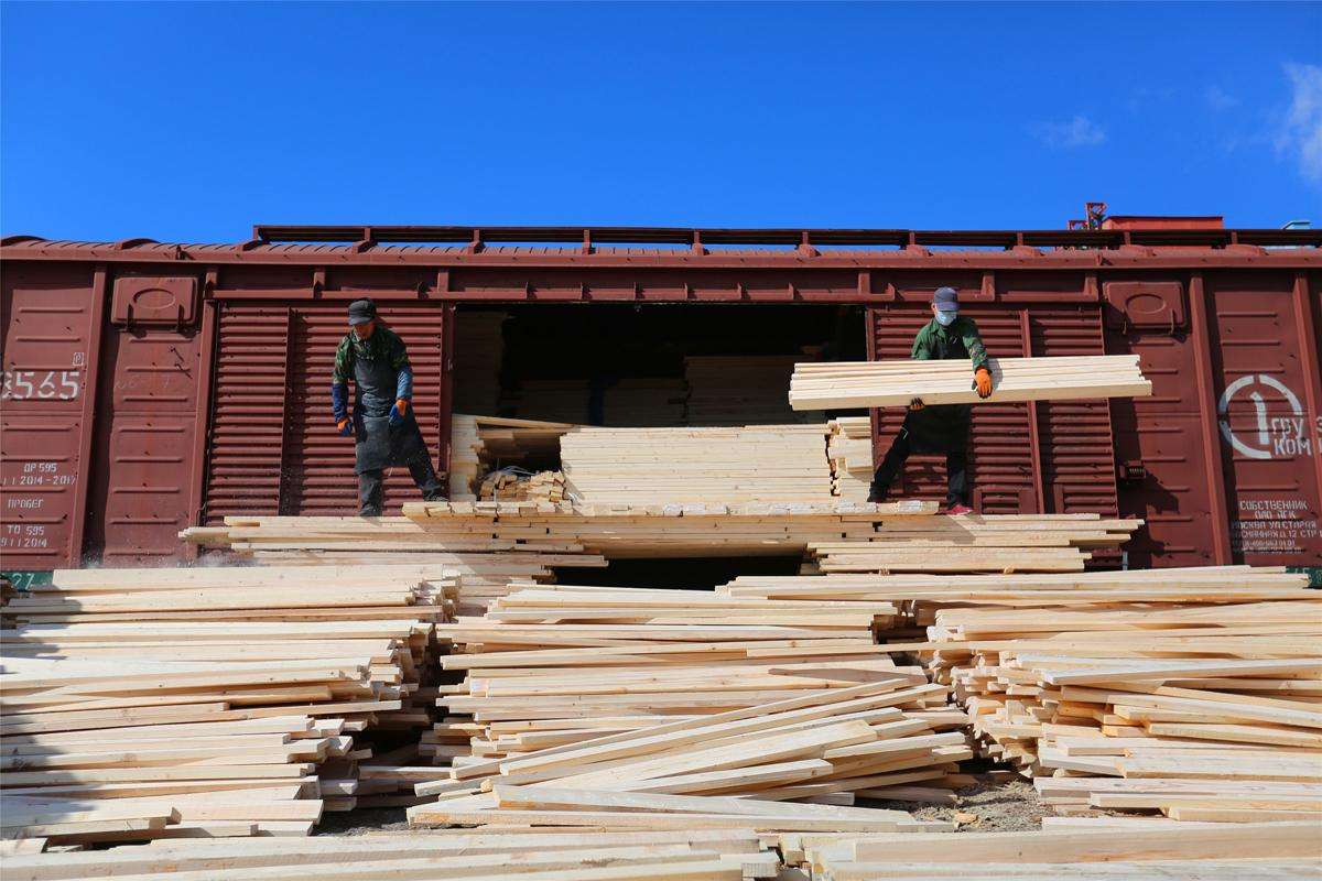 日本木材对中国出口158亿，加拿大欲“加码”？中国的选择是俄罗斯？