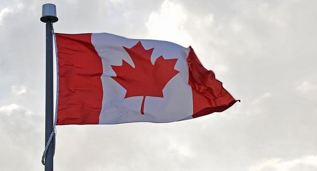 油菜籽出口创3个月新低，加拿大急了，向WTO求助，有用吗?